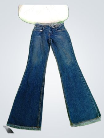 Express Flared Denim Jeans