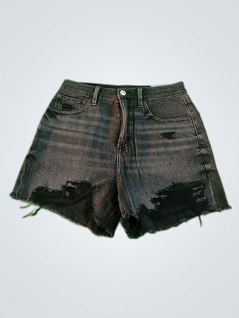 American Eagle Distressed Denim Shorts