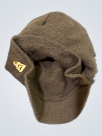 Detroit Tigers Beanie