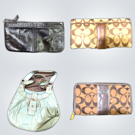 Coach Handbag & Wallet Bundle 10pcs Small Luxury Bags Set