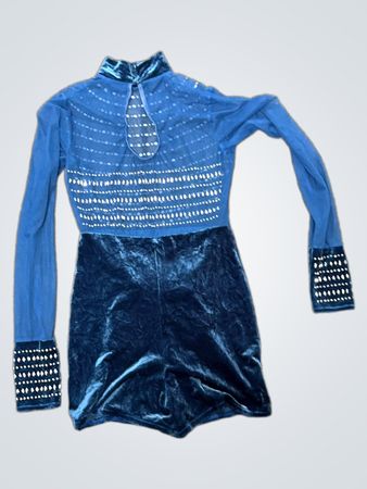 „Ein wahr gewordener Wunsch Blau Samt und verziertes Langarmkleid“