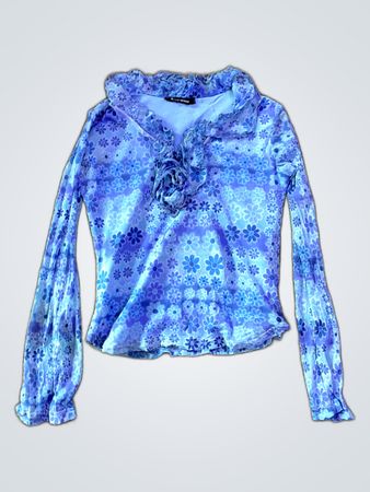Ally Weul Floral Printed Ruffle Blouse
