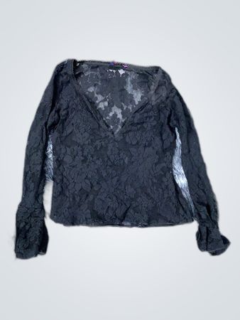 Zara Sheer Lace Blouse