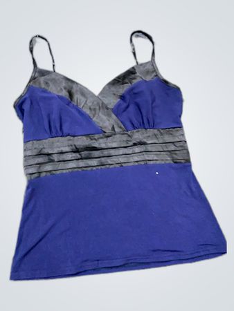 Blue Strappy Camisole Top