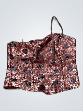 Sequined Bronze Bustier Top