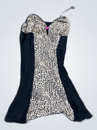 Leopard Print Dress