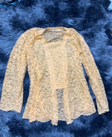 Zara Sheer Lace Blouse