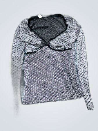 Zara Sheer Long Sleeve Blouse