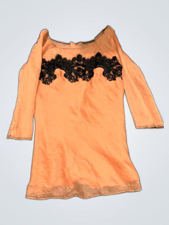 Sheer Lace Blouse