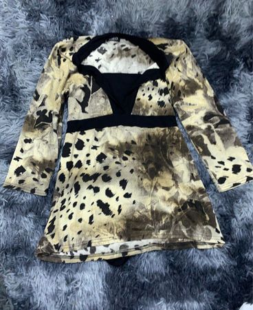 Leopard Print Long Sleeve Mini Dress
