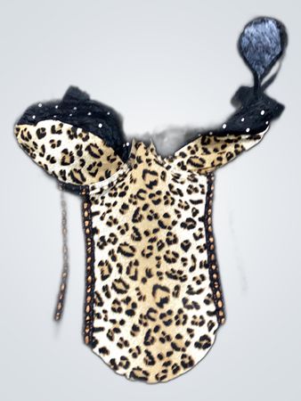 Lace and Leopard Print Bodysuit
