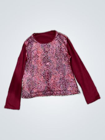 Long Sleeve Sequined Top