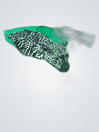 Superdry Green Leopard Print T-Shirt