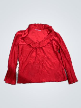 Zara Ruffle Blouse