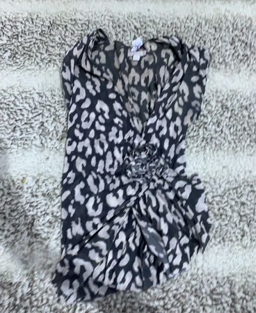 Zara Sheer Leopard Print Blouse