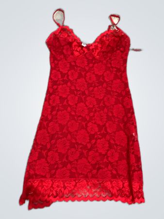 Y.A.S Red Lace Slip Mini Dress