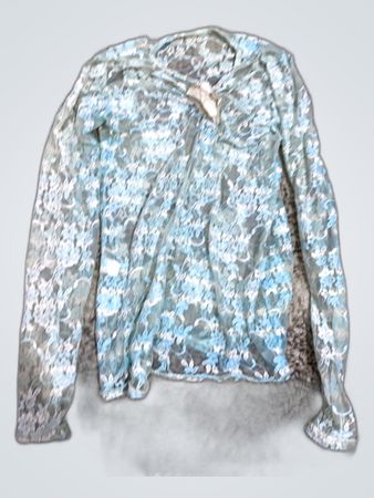 Sheer Floral Lace Blouse