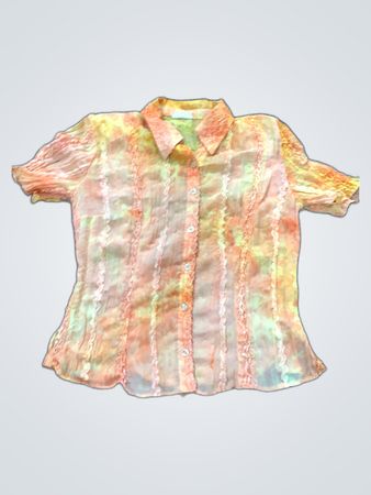 Zara Sheer Ruffled Blouse