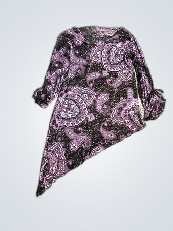 Purple Paisley Printed Sheer Blouse