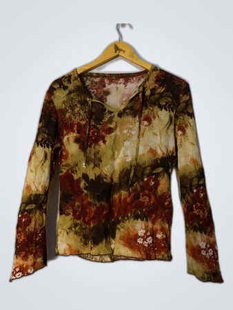 Printed Sheer Long Sleeve Blouse
