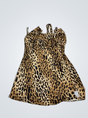 Leopard Print Dress