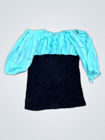 Unbranded Sheer Sleeve Blouse