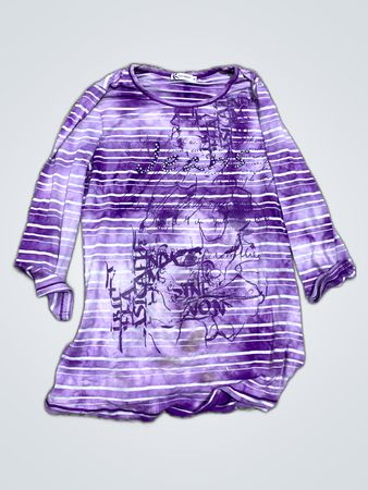 Kalamazoo Purple Striped Long Sleeve Graphic Top