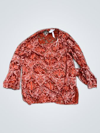 Zara Sheer Lace Blouse