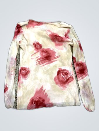 Printed Sheer Long Sleeve Blouse