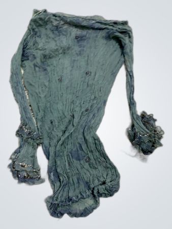 Unbranded Sheer Long-Sleeve Blouse