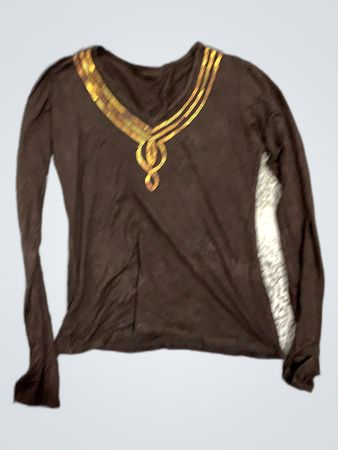 Brown Long-Sleeve V-Neck Blouse with Gold Chain Detail