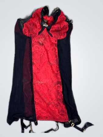 Red and Black Lace Bustier Top
