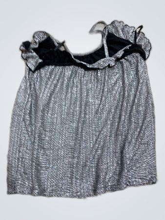 Unbranded Metallic Ruffle Blouse