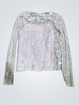 Zara Sheer Sequin Blouse