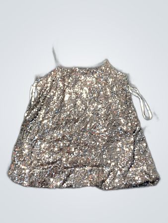 Unbranded Silver Sequined Cami Top