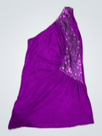 Zara Purple One-Shoulder Sequin Top