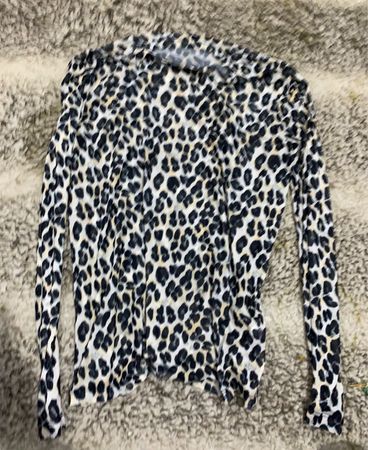 Leopard Print Long Sleeve Top