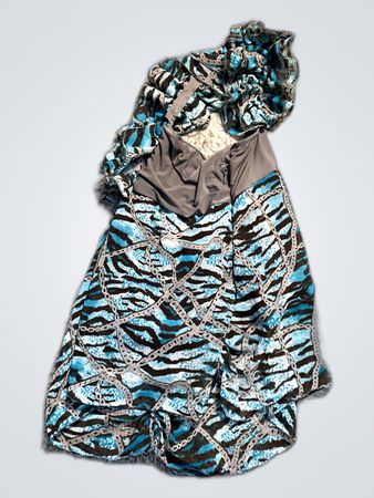 Blue and Black Zebra Print Bag