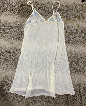 Sheer White Chemise with Blue Floral Embroidery