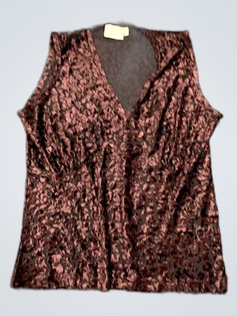 Brown Velvet Top
