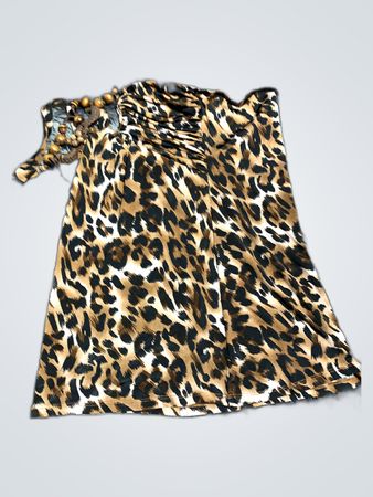 Leopard Print Dress