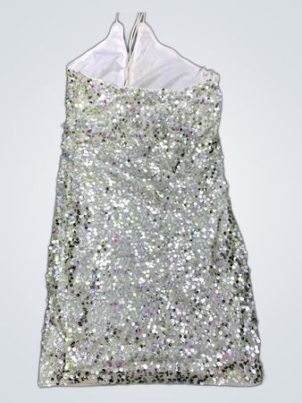 Unbranded Silver Sequined Mini Dress