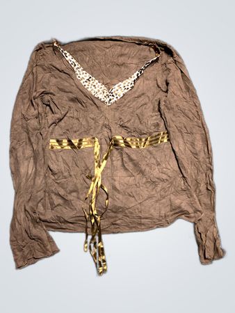 Brown Long-Sleeve Top with Gold Accents