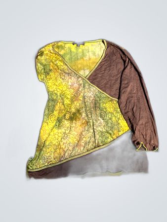 Brown and Green Long-Sleeve Top