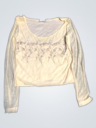 Long Sleeve Sheer Blouse