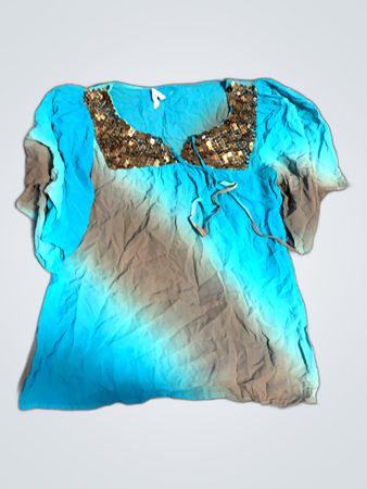Unbranded Teal Ombre Embellished Blouse