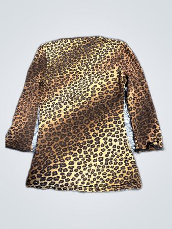 Leopard Print Long Sleeve Dress