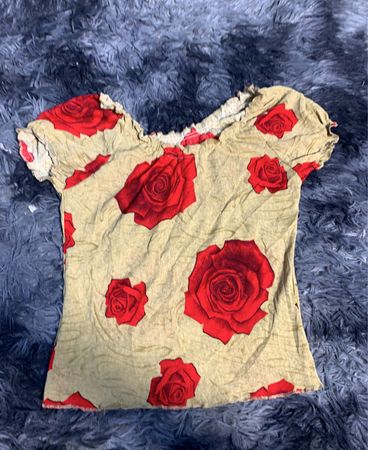 Blouse with Red Roses on Beige Background