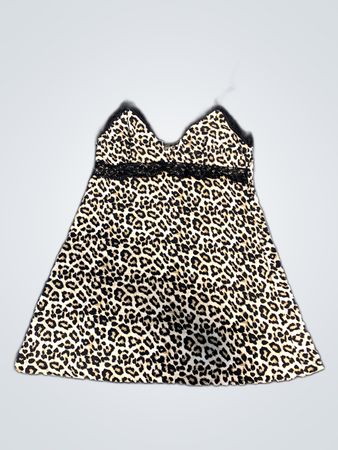 Leopard Print Dress