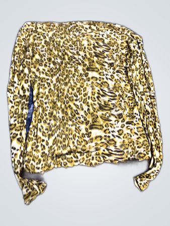 Leopard Print Long Sleeve Top